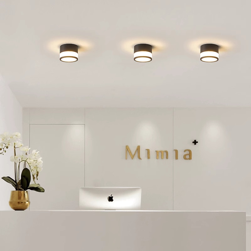 Ceiling light, LED modern lamp for hood, lights, 3D