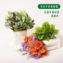 �҃��⠝��G���b��~��ֲ��Gֲ�����Բ廨���5��\�������~