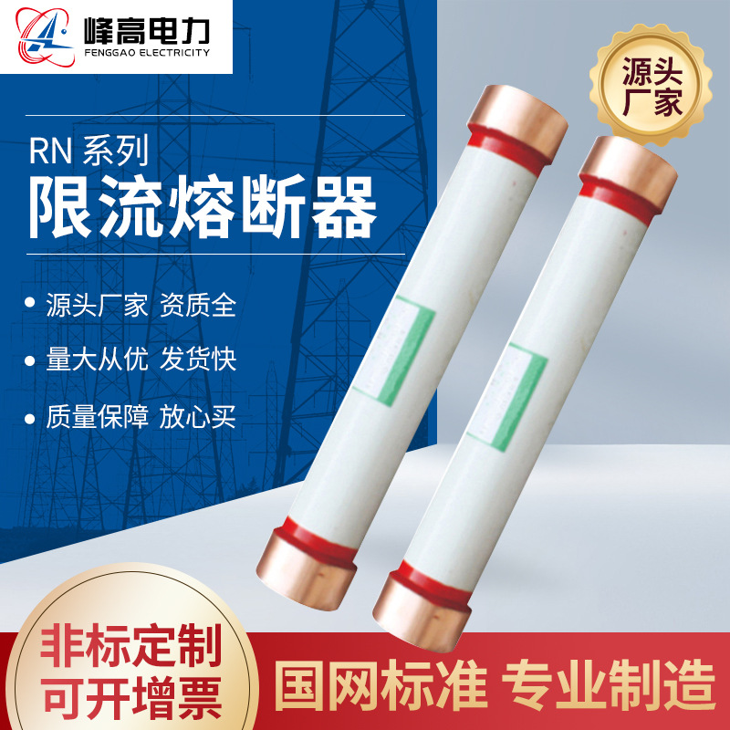 厂家供应保护限流分断断路器RN高压限流熔断器互感器保护熔断器