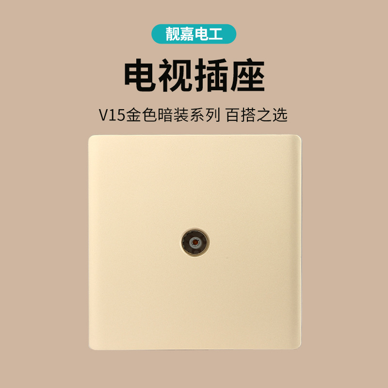 V15 TV socket