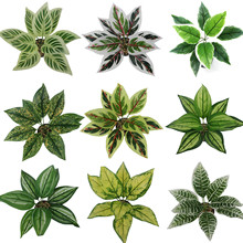 ����ֲ��Gֲ�����b��~�������~�����~ֲ����9�^�^�z�~��