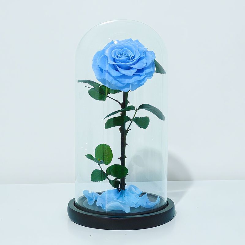 永生花玻璃罩大王子单朵玫瑰花七夕情人节女朋友生日礼物永生花|undefined