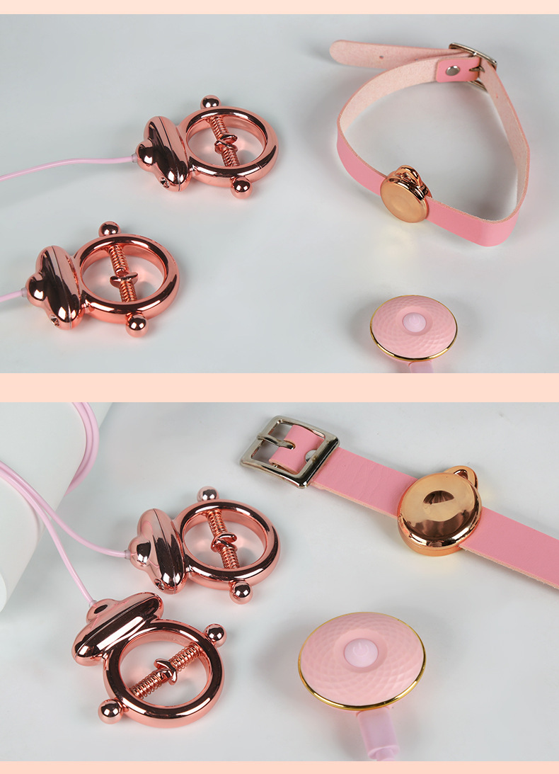 Vibrating Nipple Clamps with Remote Control, USB Rechargeable SM Couple Toy — detail image 34