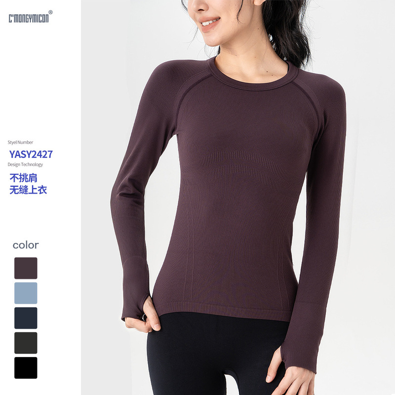 Autumn and Winter Yoga Clothing Long-sleeved Breathable Crewneck Running Fitness Clothing Outdoor Quick-drying Tight-fit Slimming Top Cross-border New