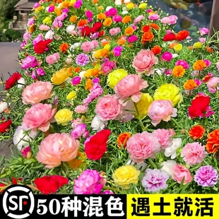 �ذ�̫ꖻ��N�ݻ��N���Ӷ�ɫ���ļ����N�׻��҃����^����ֲ����