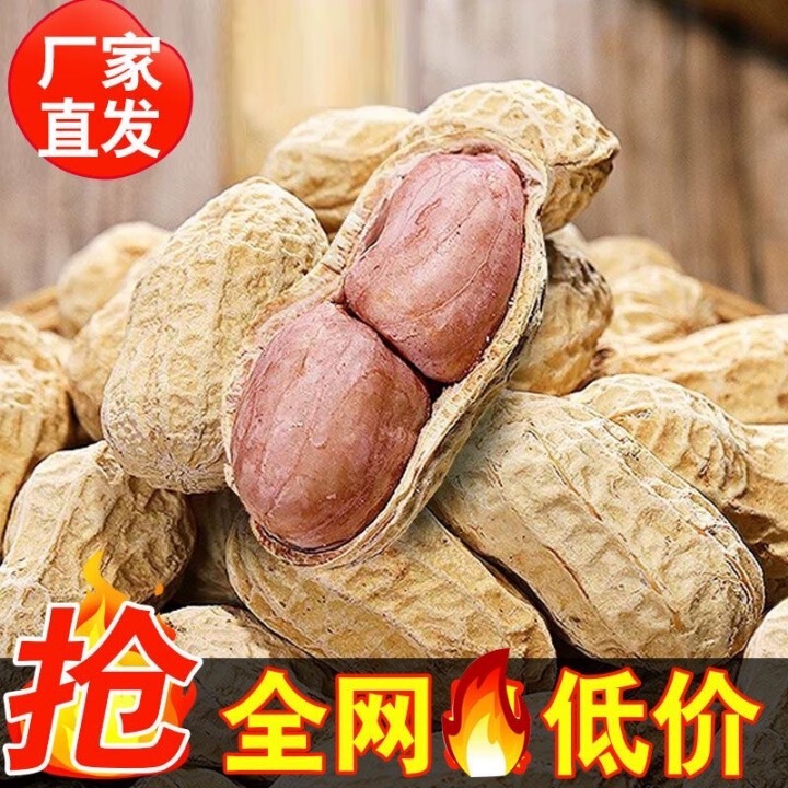 ニンニクの香りのミルクの香りのピーナッツの新しい商品のピーナッツの米は乾燥して殻の間食を持って商品の年の商品を炒めます。|undefined