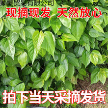 С�Q���Q���~�Q������Ϙ����~�Fժ�r���ԷN�Qɣ�������rɣ�~�羳