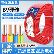 ˼~늾BVӲ1.5/2.5/4/6/10/16ƽ~оbȼ늾