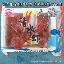 湖北厂家直销 洪湖清水原味小龙虾原料餐饮酒店商用虾 非即食500g