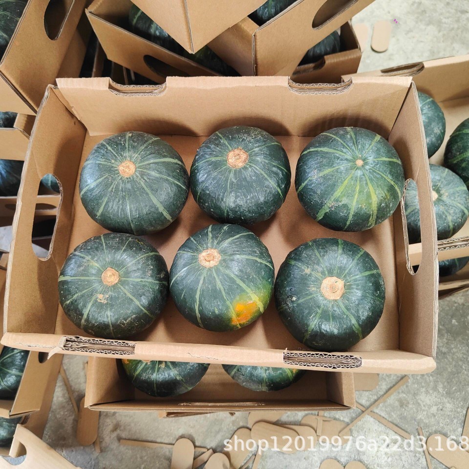 2025-06-07 21:59:39.jpg