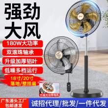 20珊LȼúAڒkҴLLȓu^