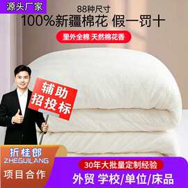 四季100%棉花被子宿舍加厚纯棉被芯救灾垫被褥子棉絮全棉冬被床品
