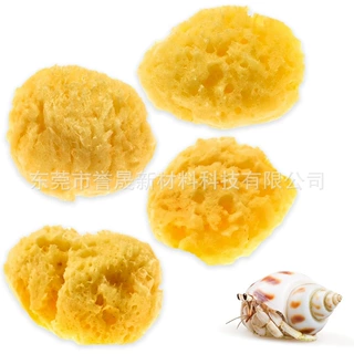 寄居蟹水盘海绵垫 宠物螃蟹水箱保湿海绵垫 寄居蟹水盆海绵垫