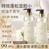 Camellia Dandruff relieve itching shampoo fluffy Oil control Demodex Shower Gel Lasting Fragrance quality goods wholesale