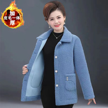�ӽq�Ӻ�����qëƤ�݋����b���L���׶�����ů����Ů