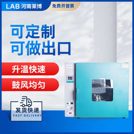 电热恒温鼓风干燥箱DHG消毒熔化烘焙实验室化验玻璃容器烘干机