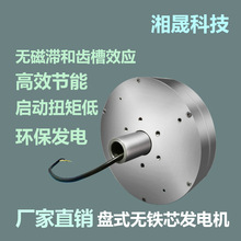 外转子盘式无铁芯发电机 率发 电风力发电机低速 永磁 低阻默认项