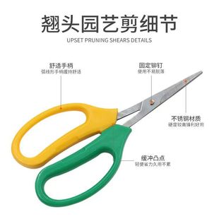 Grape Picking Shears, Gardening Shears, Household Curved Tip Fruit Pruning Shears, Stainless Steel Fruit Pruning Shears, Gardening Small