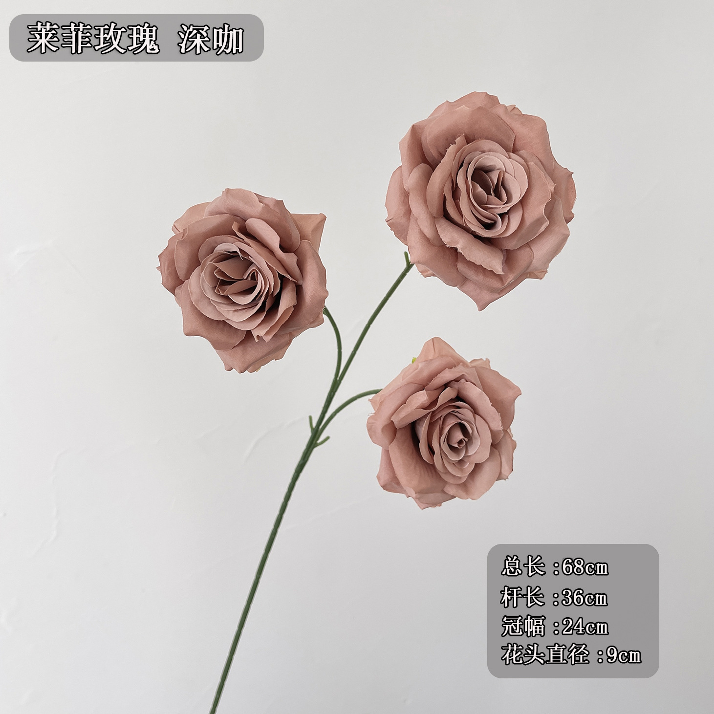 3 헤드 레피 로즈 다크 커리