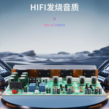800W���Ϲ�����hifi���ճ�Ʒ2.0˫�����ߴ��󼶴��ʹ��Ű�