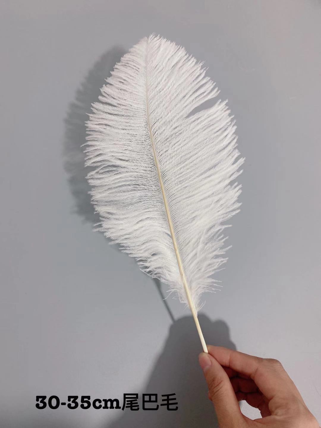 c906ceae10fddd346863436de144a1