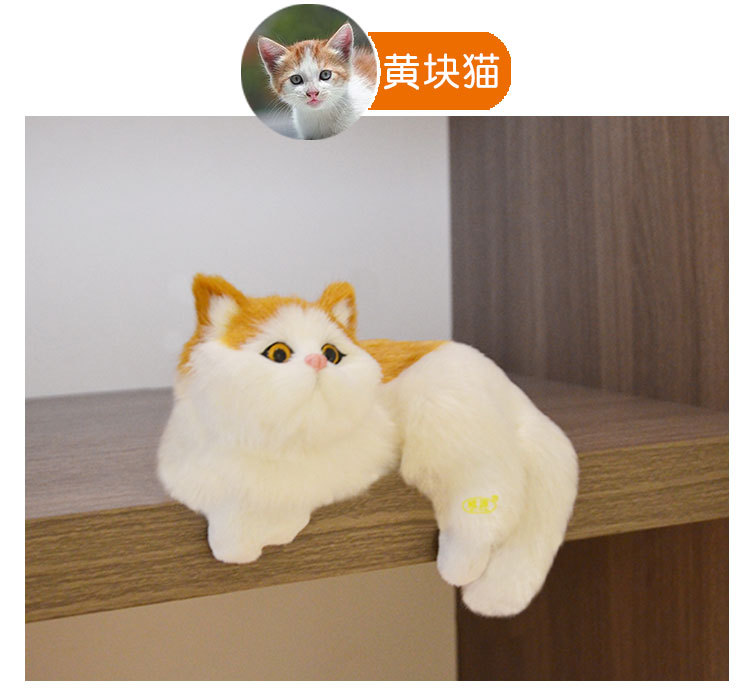 c75fa8cd0d0024b97814ec5a8825c7