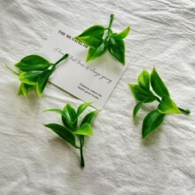 ����[��΢���^ˮ�������ȼ���ˮ��ֲ��diy�������ԾGֲ�~��