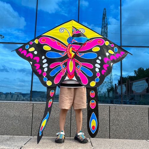 Weifang Kite New Butterfly Kite Street Stall Hot Selling Manufacturer Wholesale Breeze Easy to Fly Eagle Goldfish Kite