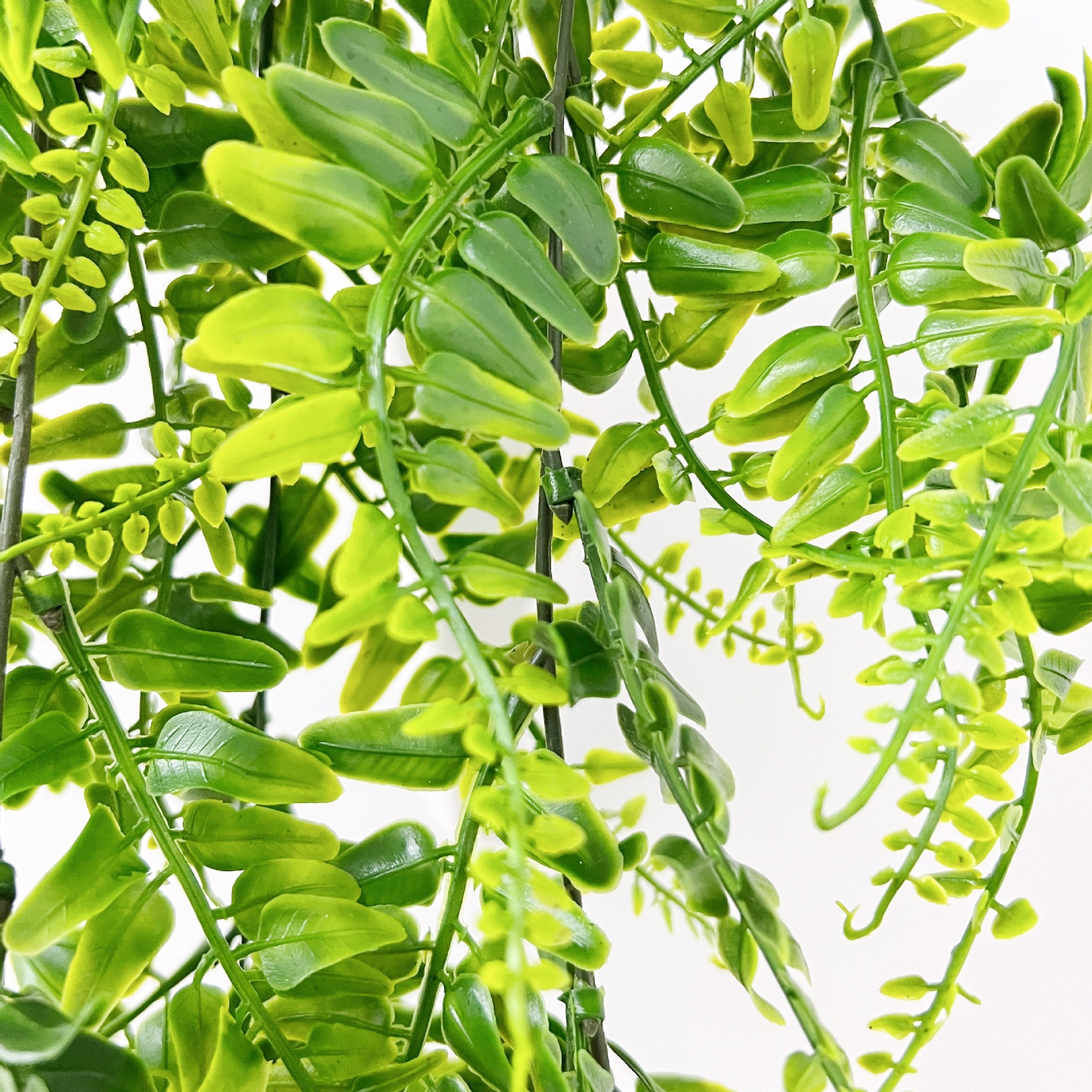 微信图片_20220705142955