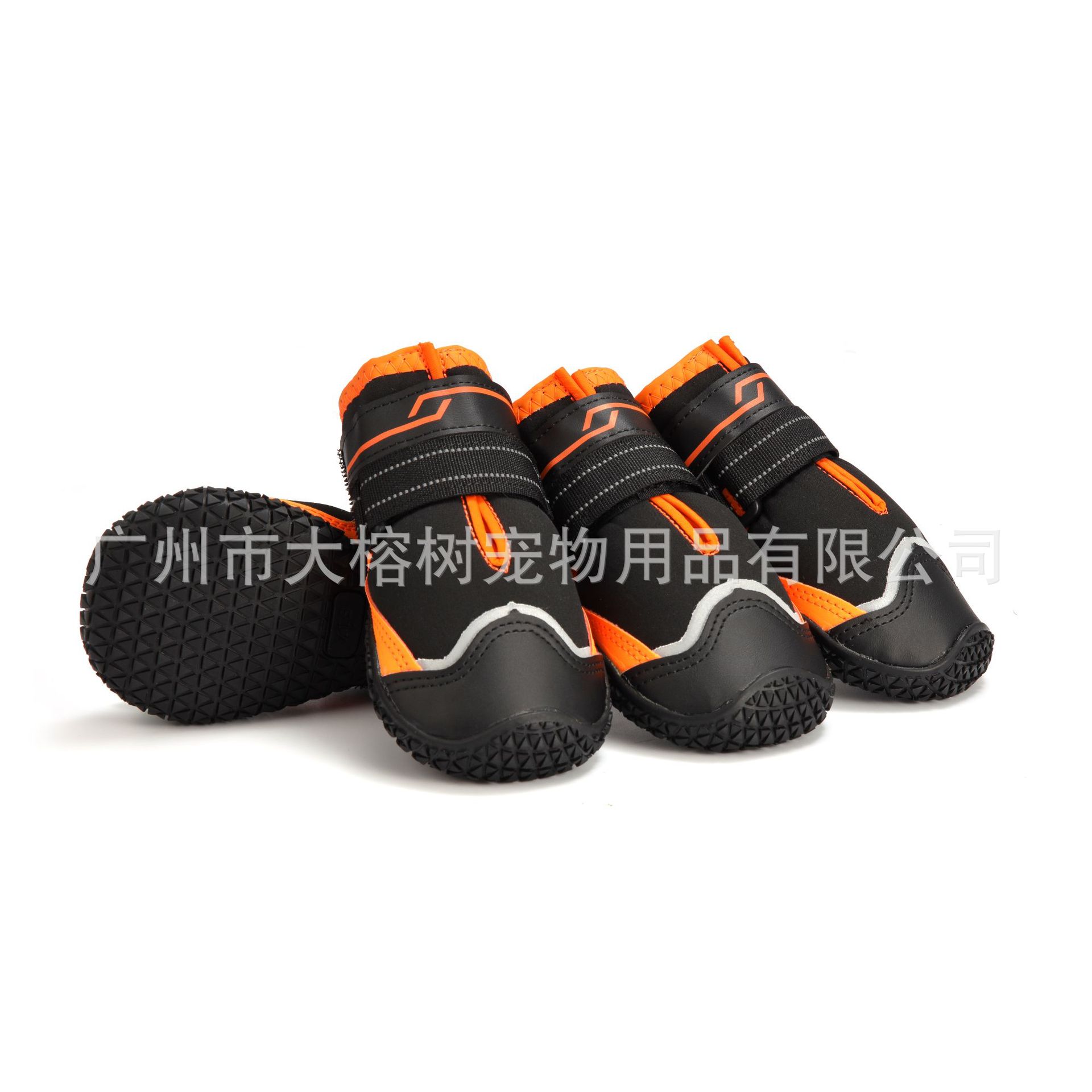 4N2A3410 拷贝.jpg