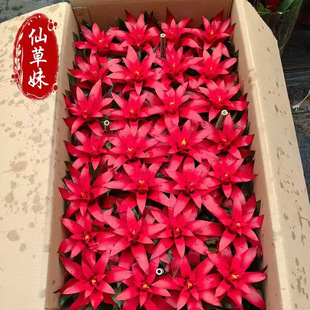 ƽ�^�tС�玧�� �ͺ�������;Gֲ�����҃ȿ͏d���ܻ������l