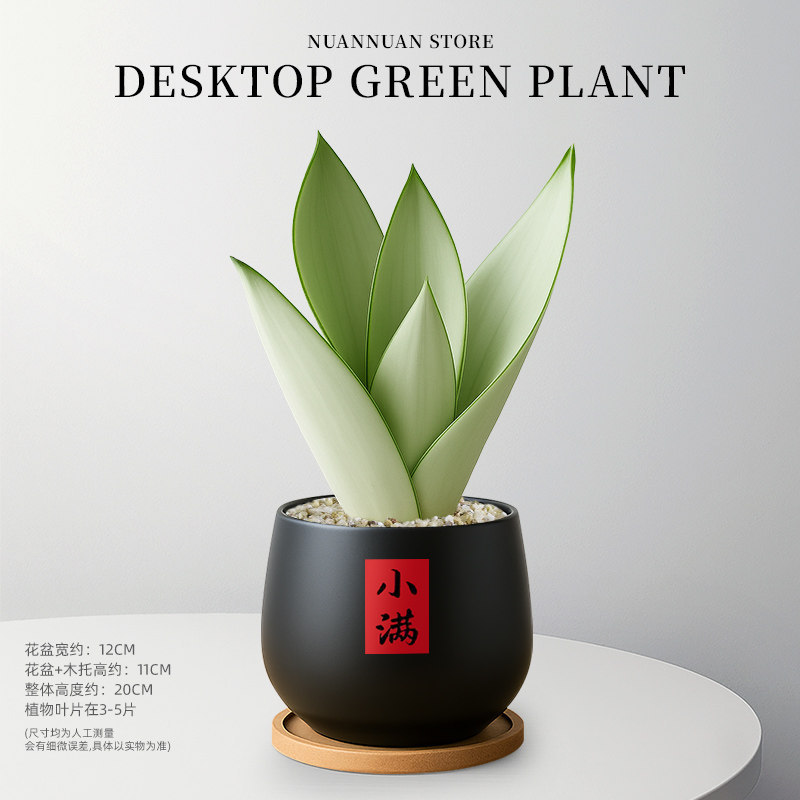 商品图