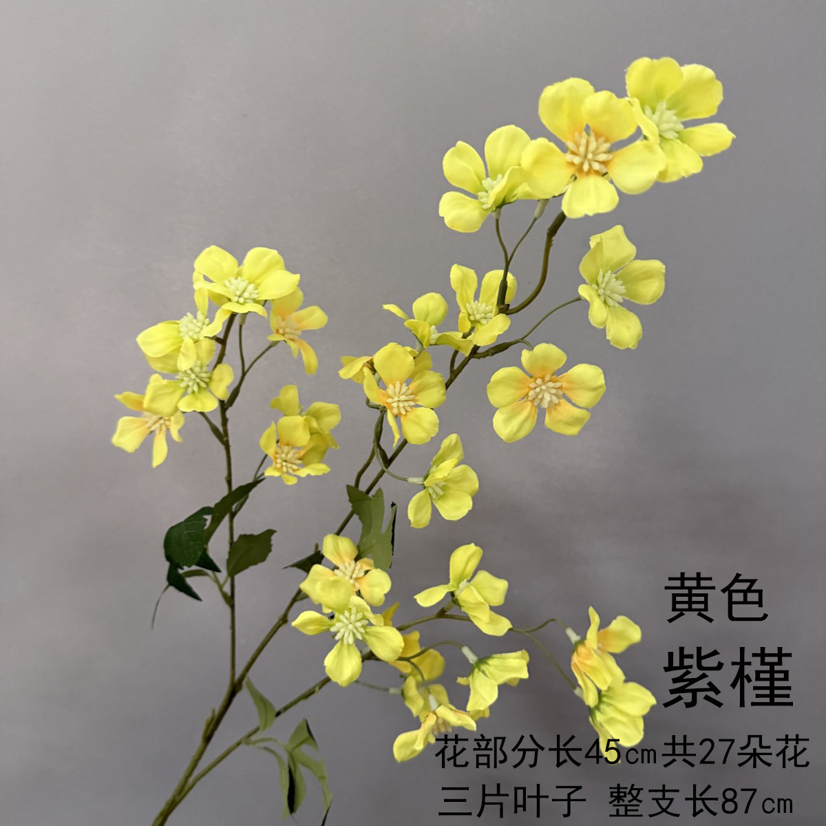 자색 무궁화 - 노란색