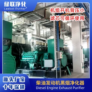医院 银行 学校 工厂 备用柴油发电机尾气黑烟治理 黑烟净化器