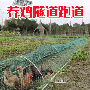走地鸡笼子散养溜达鸡笼隧道养鸡笼跑道笼子散养鸡笼农场景区网红-阿里巴巴