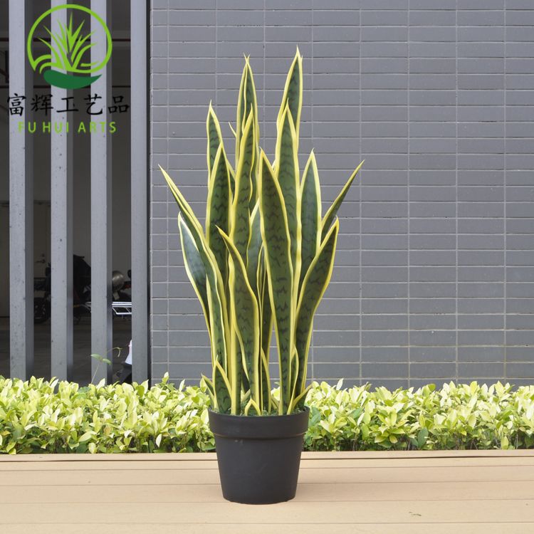 仿真黃邊虎皮蘭外母舌龍舌蘭綠植盆栽組合造景花卉道具擺件批發