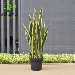 仿真黃邊虎皮蘭外母舌龍舌蘭綠植盆栽組合造景花卉道具擺件批發