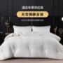 定制床上柔软酒店春秋被