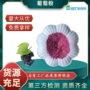固体源头压片原料果粉