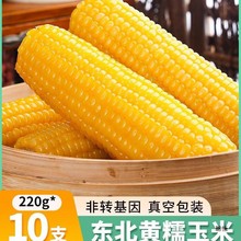 �|���SŴ���װ�10֧��؛����b�S���׬Fժ���r��������ճ�ּZ����