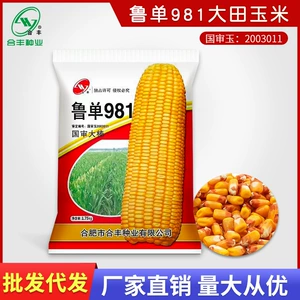 LU DAN 981 Семена кукурузы Daidian гибридный корм, кукуруза, старая кукурузная кукуруза Семена кукурузы Оптовые