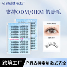 跨境假睫毛桃花劫欧美软延展假睫毛浓密上镜分段单簇睫毛假睫毛