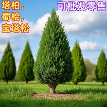 ̵·Gؘɰؘ猚uļͺֲﻨ