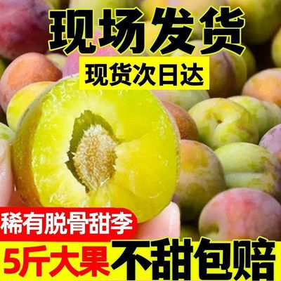 四川李子青脆李脱骨买3斤发6斤茵红红甜水果新鲜现摘批发跨境电商