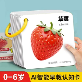 其他益智玩具;科教玩具;玩具挂图