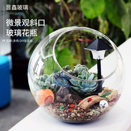 微景观;装饰花瓶;花盆容器