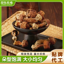 儿童读物;社科生活;四件套