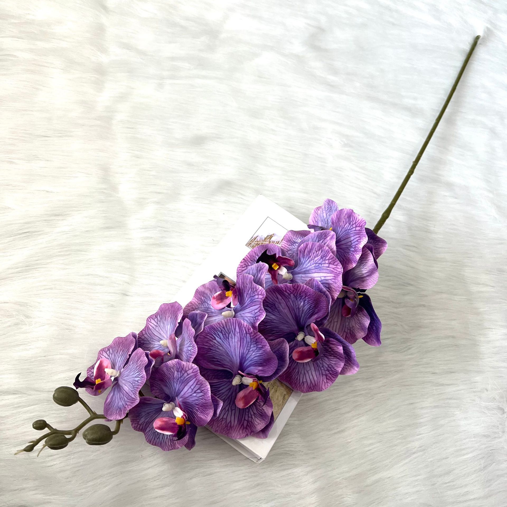 보라색 파란색