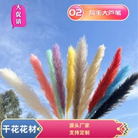 永生花;鲜花花艺制品;干花