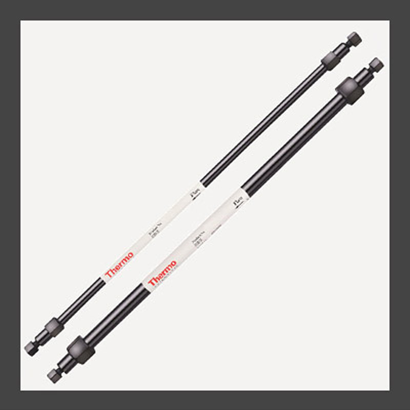 赛默飞 适用于 IC 的 Dionex IonPac™ AC10 阴离子浓缩柱